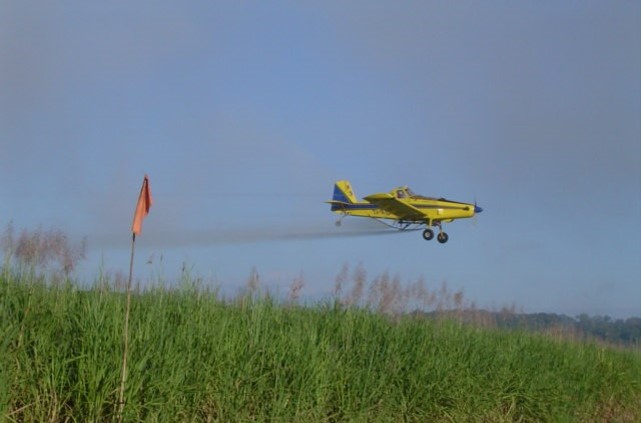 Aplicación madurantes con avion