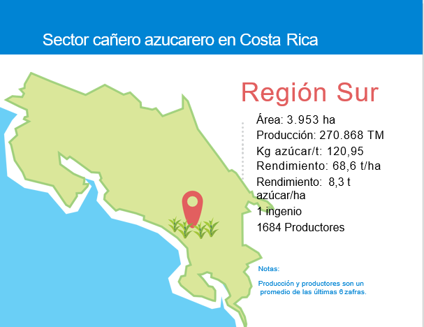 5.REGIÓN SUR