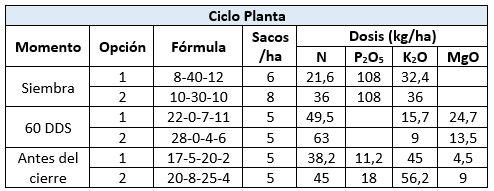 Fertilización de caña planta.