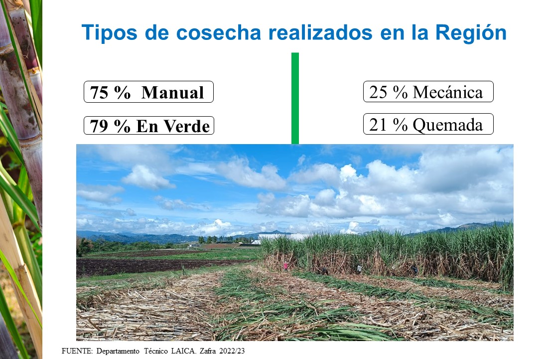 Distribución porcentual de los tipos de cosecha realizados en la región. Estos datos incluyen la cosecha de Ingenios y productores independientes. Como se observa la mayoría de la caña se cosecha en verde y de forma manual.