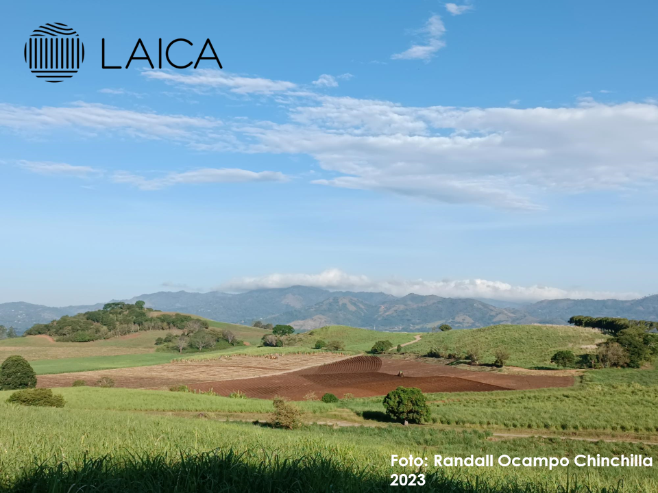 Paisaje Cañero. Fincas Ingenio Porvenir