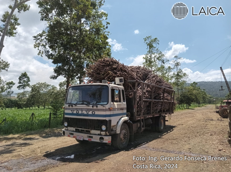 Transporte grúa a Ingenio