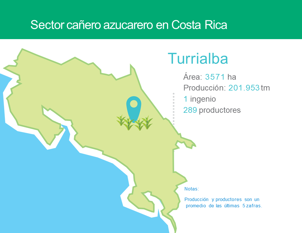 6.REGIÓN TURRIALBA