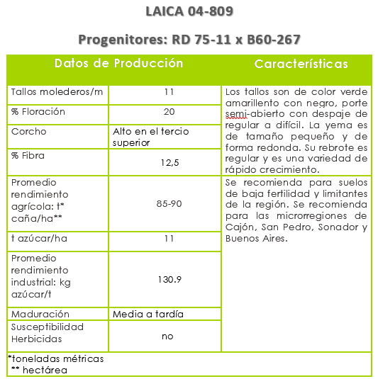 LAICA 04-809.