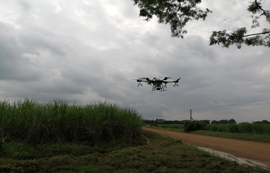 Aplicación madurantes con Dron