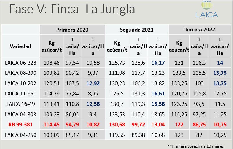 Variedades avanzadas. Fase V.