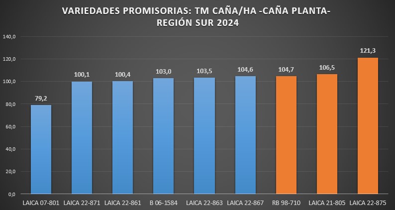 Rendimiento de campo (t caña/ha). Variedades promisorias. 2024.