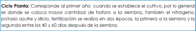 Fertilización ciclo planta