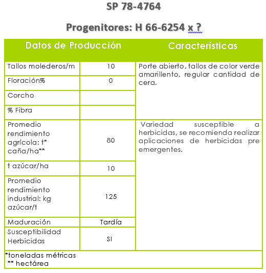 Variedad SP 78-4764.