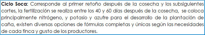 Fertilización ciclo soca