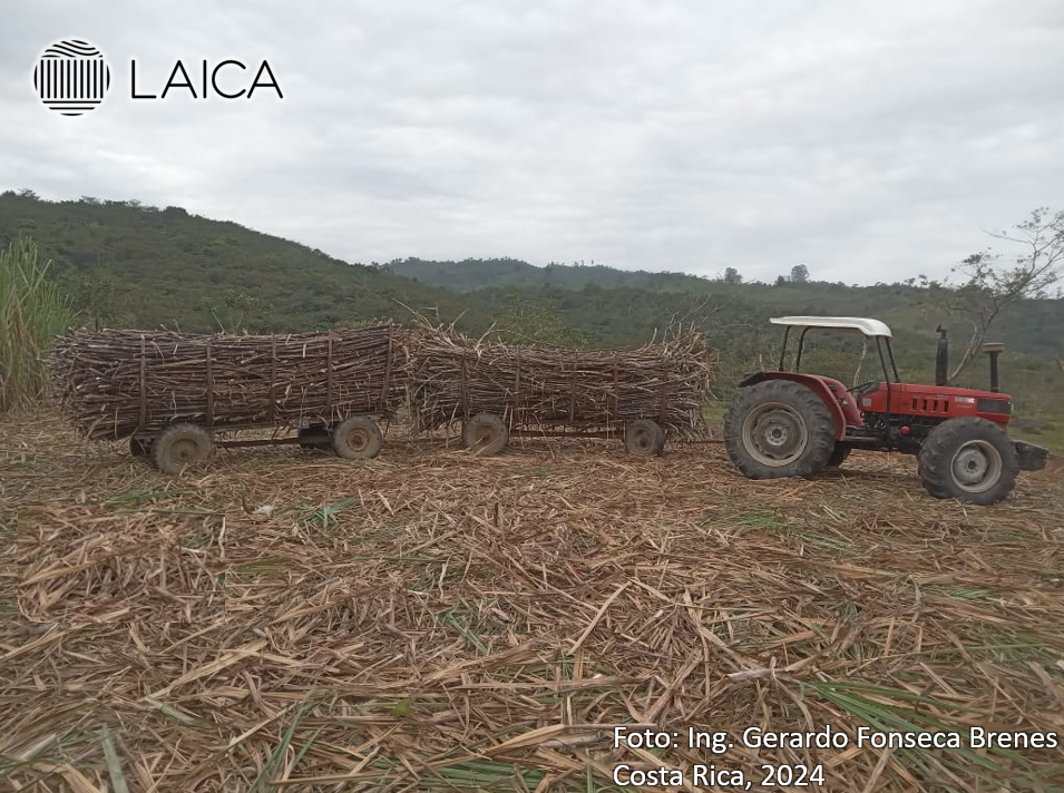 Transporte cañal a grúa