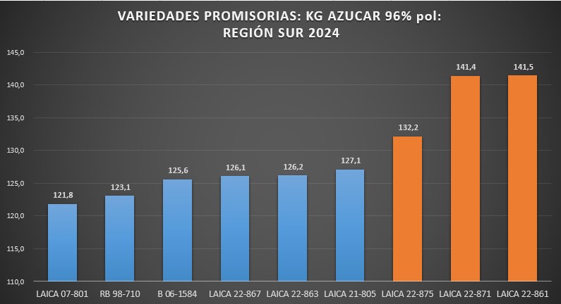 Rendimiento industrial variedades promisorias. 2024