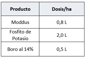 Recomendación de maduración.