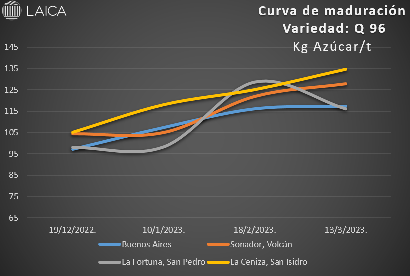 Curva de maduración Q 96.