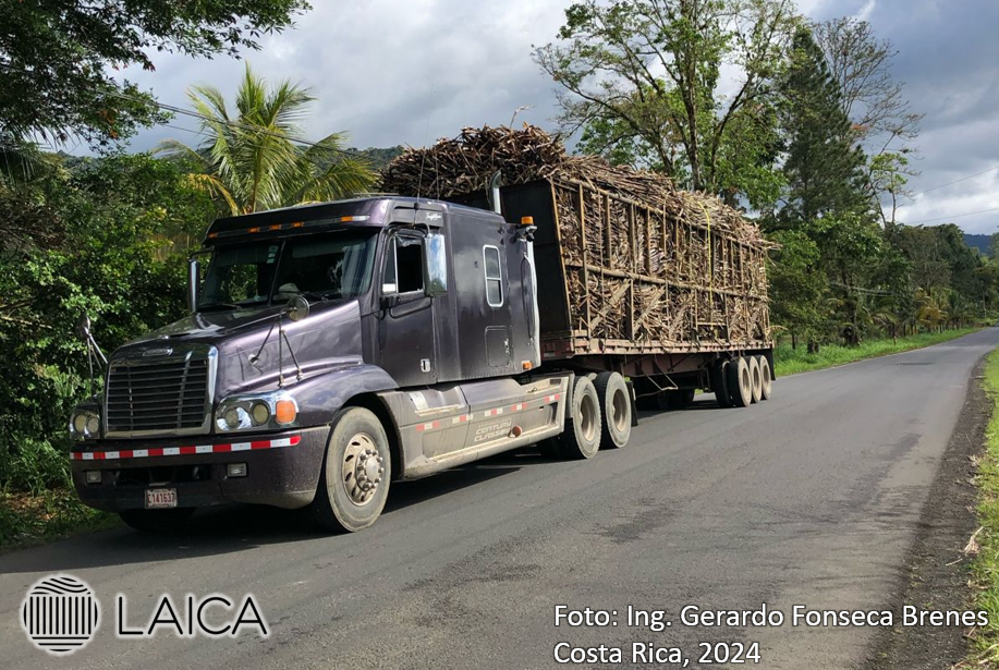 Transporte grúa a Ingenio