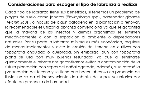 Como escoger entre labranza mínima o preparación completa de suelo?