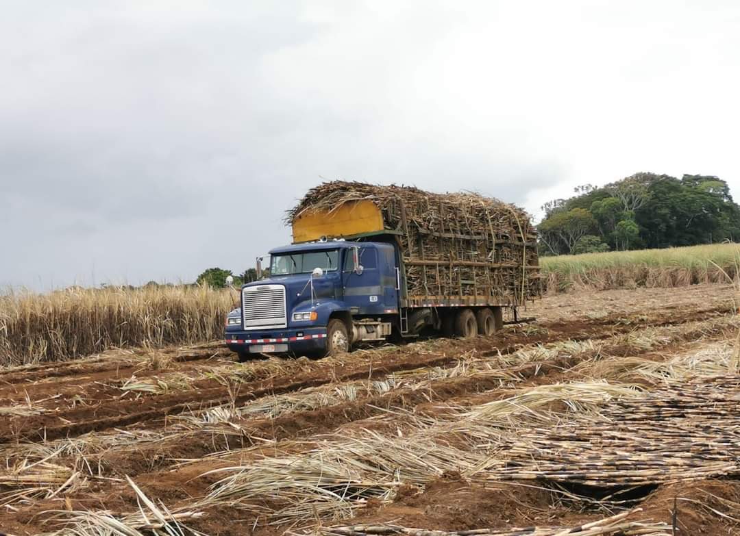 Transporte en camión.