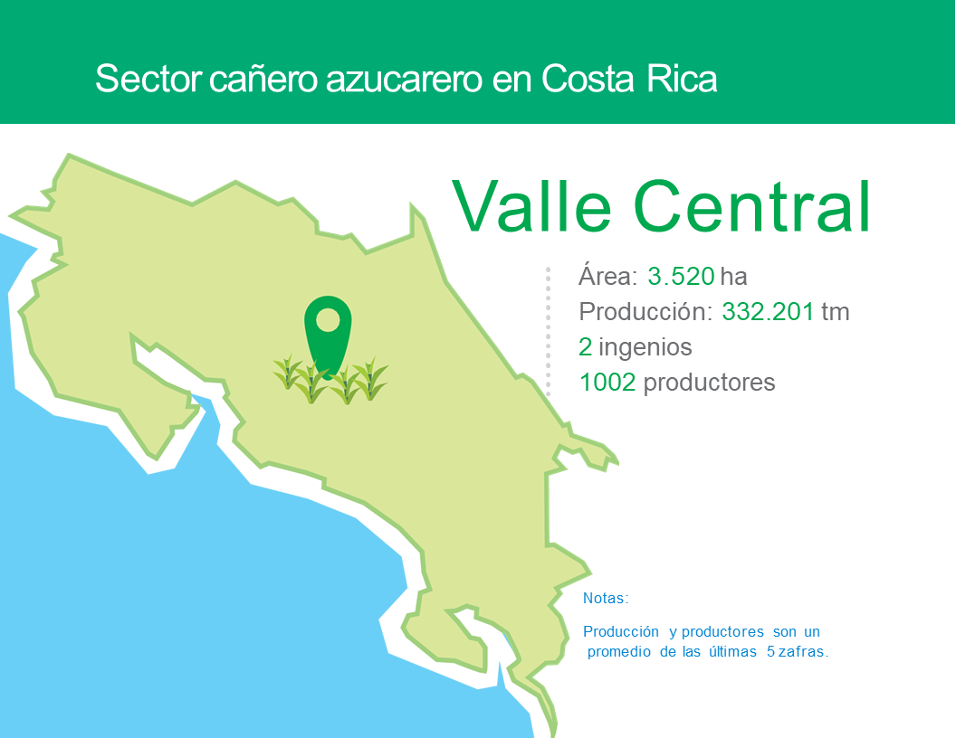 7.REGIÓN VALLE CENTRAL