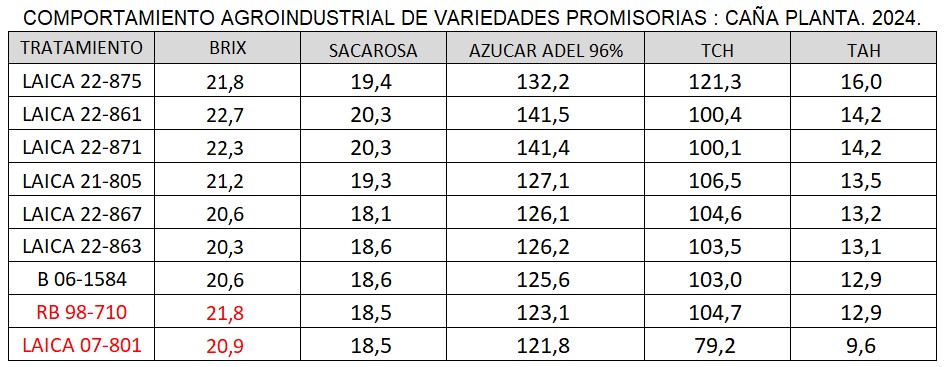 Rendimiento agroindustrial de variedades promisorias.