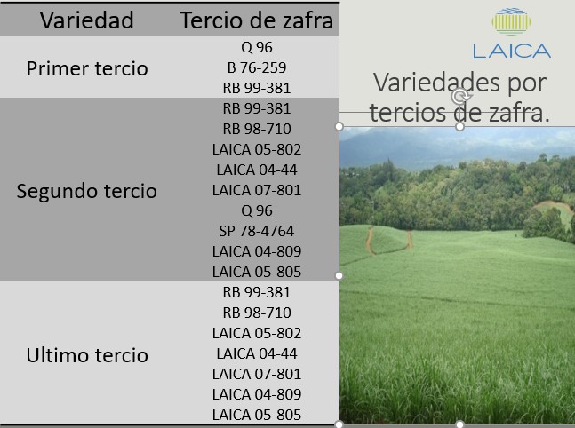 Recomendación de variedades por tercios de zafra.