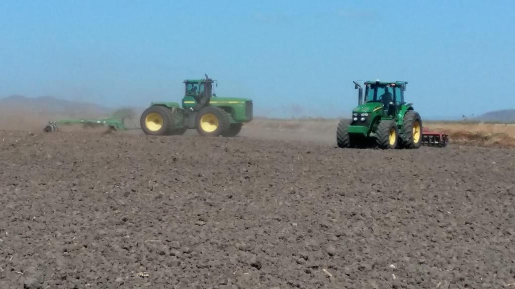 Preparación de Terreno