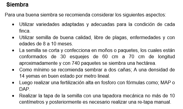 Aspectos a considerar para siembra manual