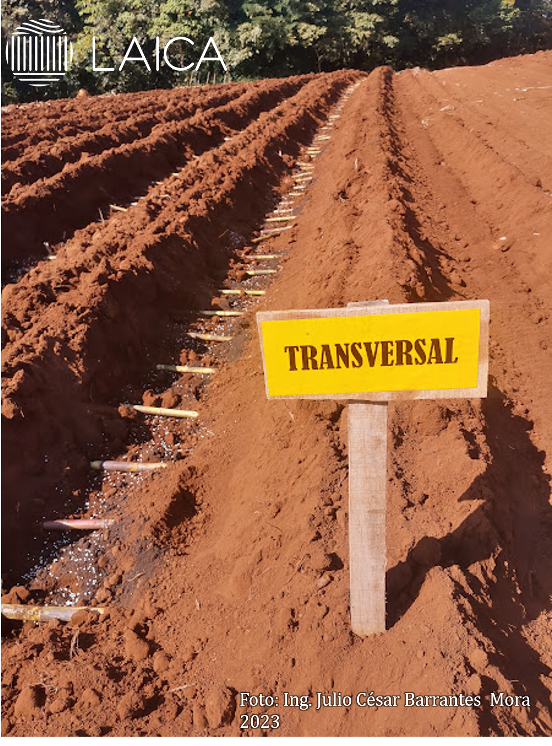 Sistema de siembra transversal.