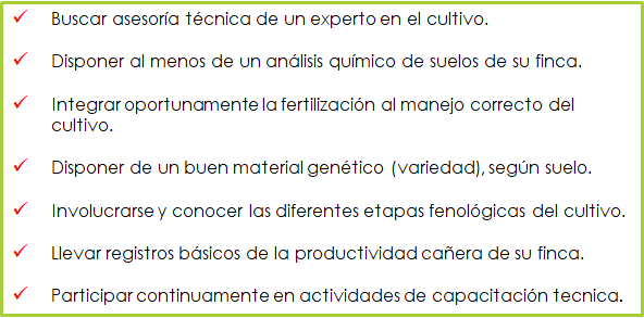 Recomendaciones en la fertilización