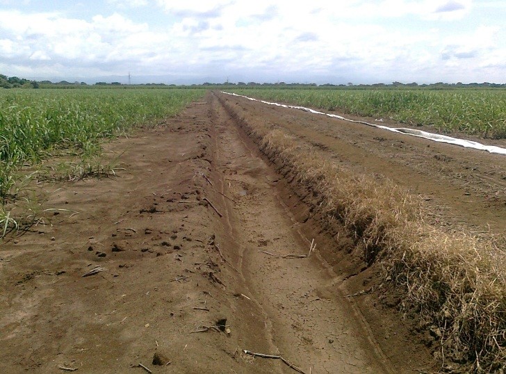 Drenaje interno plantacion de caña