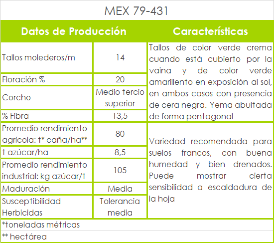 Mex 79 431