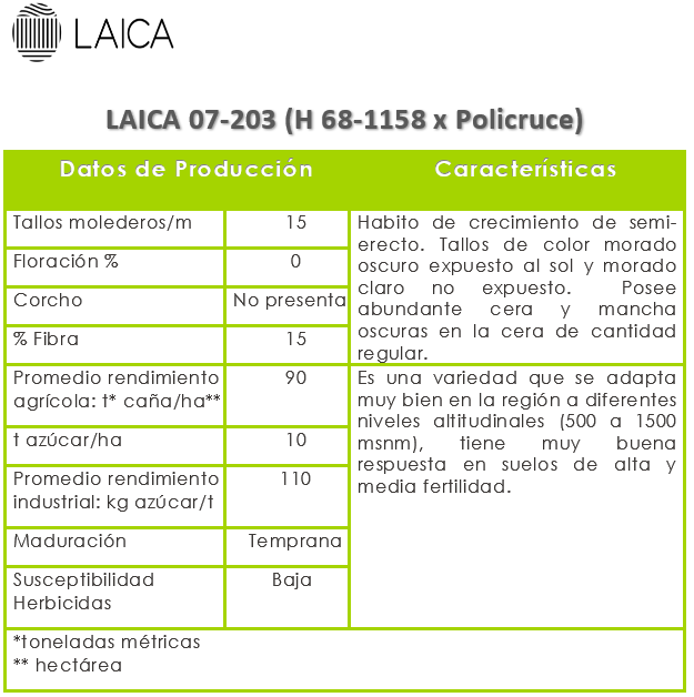 LAICA 07-203