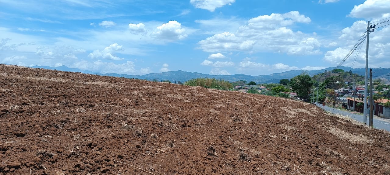 Preparación de suelo en verano con incorporación de rastrojo triturado (basura) de la cosecha anterior realizada en verde.