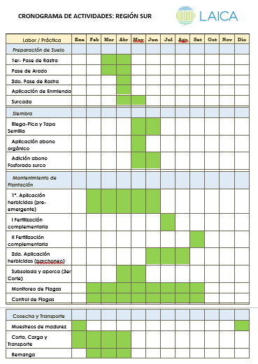 Cronograma de actividades del cultivo.