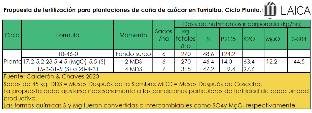 Fertilización caña planta