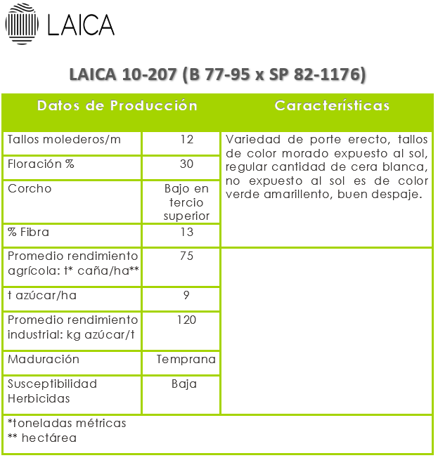 LAICA 10-207